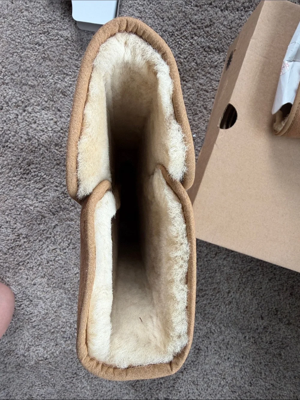 UGG Women's Tall Chestnut Suede Boots